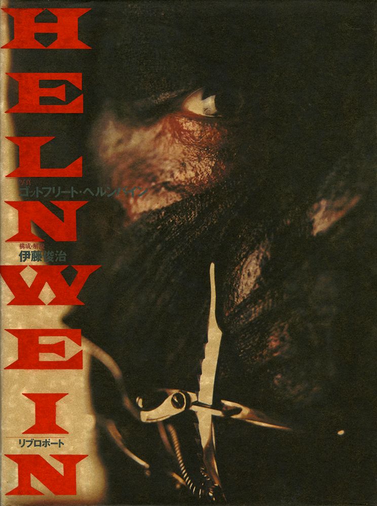 Helnwein ゴットフリート・ヘルンヴァイン 画集 作品集 本 Helnwein ゴットフリート・ヘルンヴァイン 画集 作品集